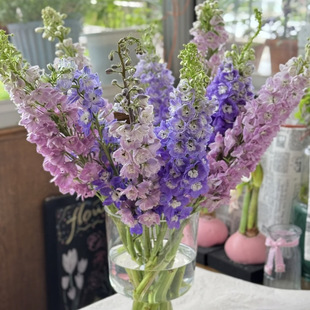 包邮 丽辉·短杆「大飞燕」5支 2单