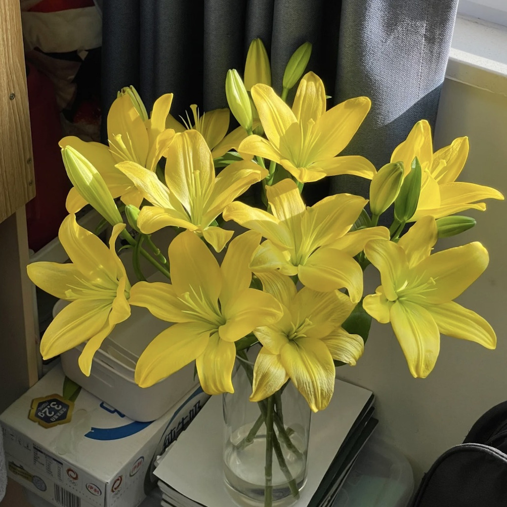 爱必达·亚百合「黄色」多头3枝（单拍不发，2单包邮）