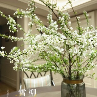 买一送一共2扎鲜支「雪柳」带芽苞发货(0度地区拍保温)