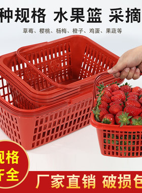 草莓篮塑料水果筐子熟料手提采摘篮樱桃杨梅枇杷蓝莓水果鸡蛋篮子
