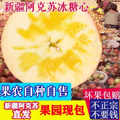 正宗新疆阿克苏冰糖心苹果丑新鲜有机水果大应当季整箱原产地直发