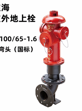 淮海国标室内栓室外地上消火栓SN65/SNJ/SNZW65/SS100/65-1.6地下