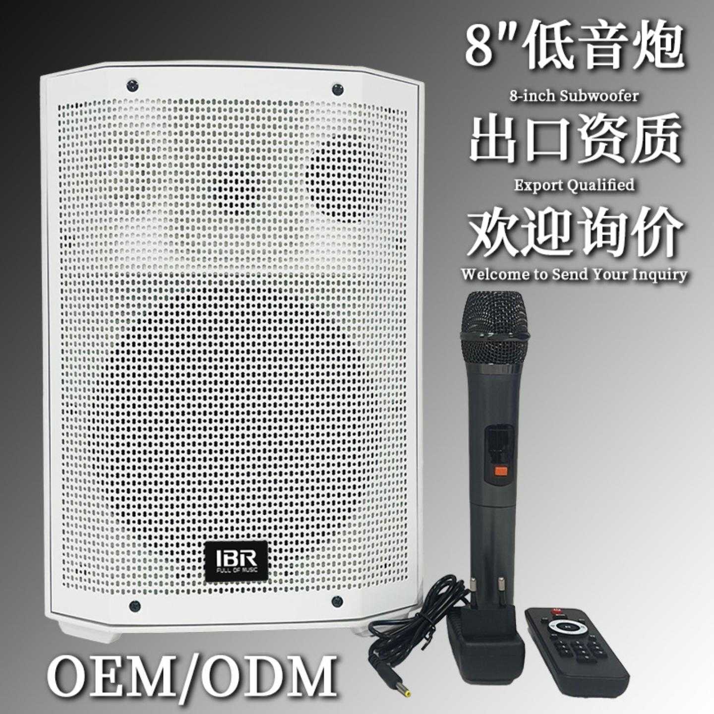 会议室蓝牙有源超低音扬声器8寸k歌音箱乐队立体环绕声系统音响