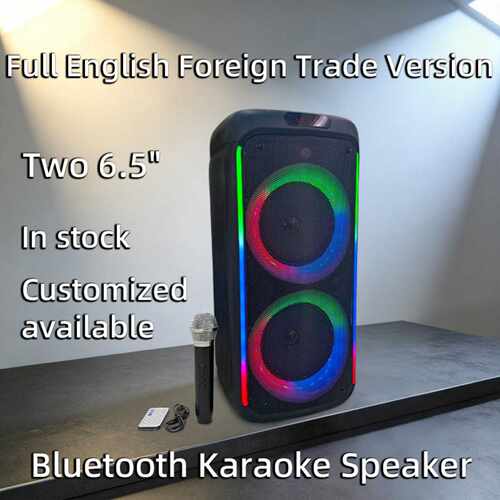 新款双65寸TypeC充电蓝牙K歌音箱