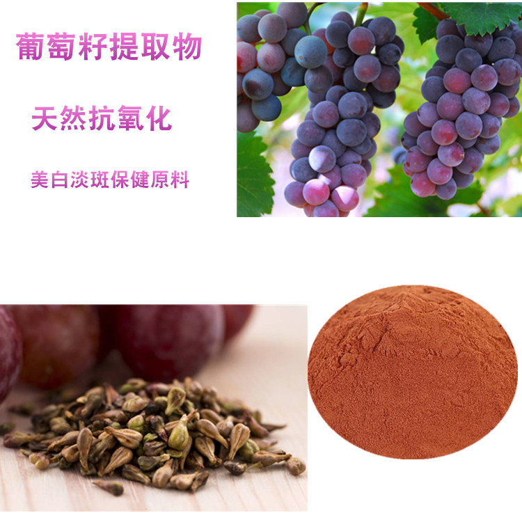 葡萄籽提取物原花青素opc粉天然抗氧化美白淡班保健斑点原料100克