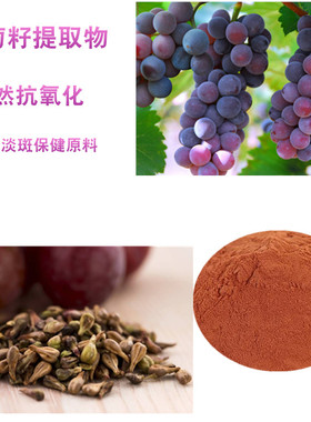 葡萄籽提取物原花青素opc粉天然抗氧化美白淡班保健斑点原料100克