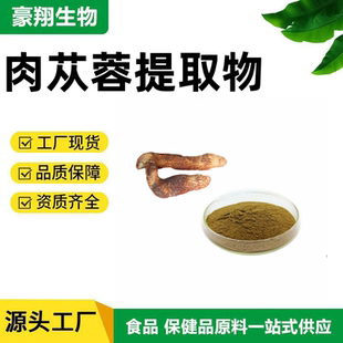 食品级肉苁蓉提取物30%松果菊苷浓缩粉 精华粉 散装现货 赠送量勺