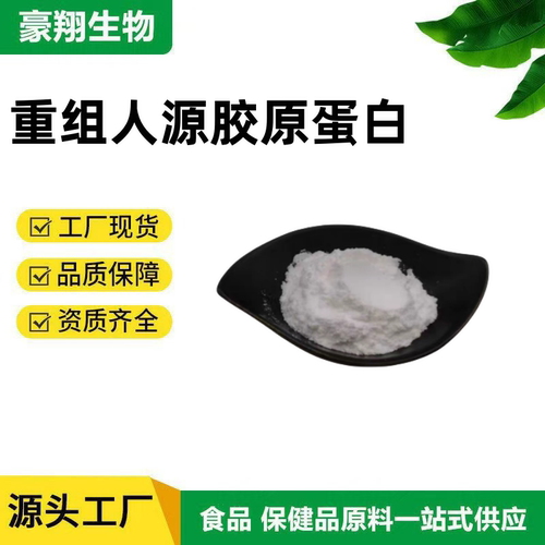 重组人源胶原蛋白 食品级98%三型胶原蛋白小分子肽粉抗皱紧致肌肤