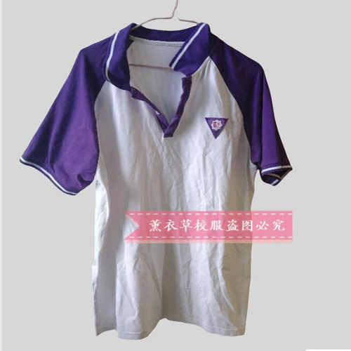 初高中小学校服同款短袖校服白色纯棉上衣休闲T恤大码定制