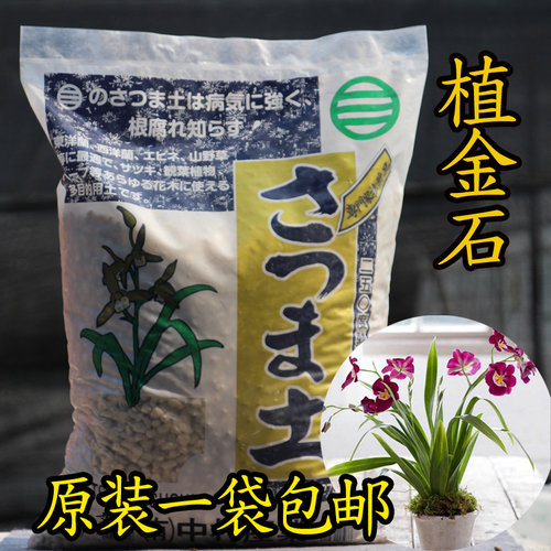 植金石高级多肉日本兰花