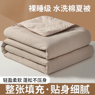 夏凉被空调被可机洗水洗棉夏季 薄被子被芯春秋单双人夏被2025纯色