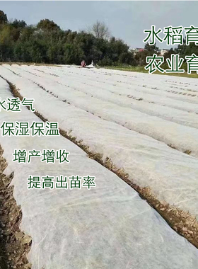 PP无纺布布料白色沙发布枕芯黑色防尘育苗防水秧苗服装设计背景布