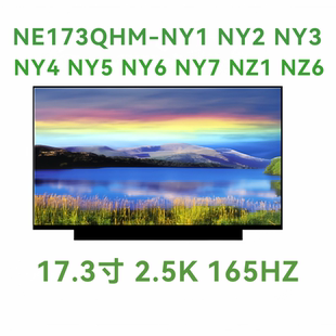 NE173QHM-NY1 NY2 NY3 NY4 NY5 NY6 NY7  NZ1 NZ6 2.5K 165HZ屏幕