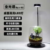 全光谱LED植物生长灯微景观灯亚克力鱼缸灯苔藓灯多肉植物补光灯