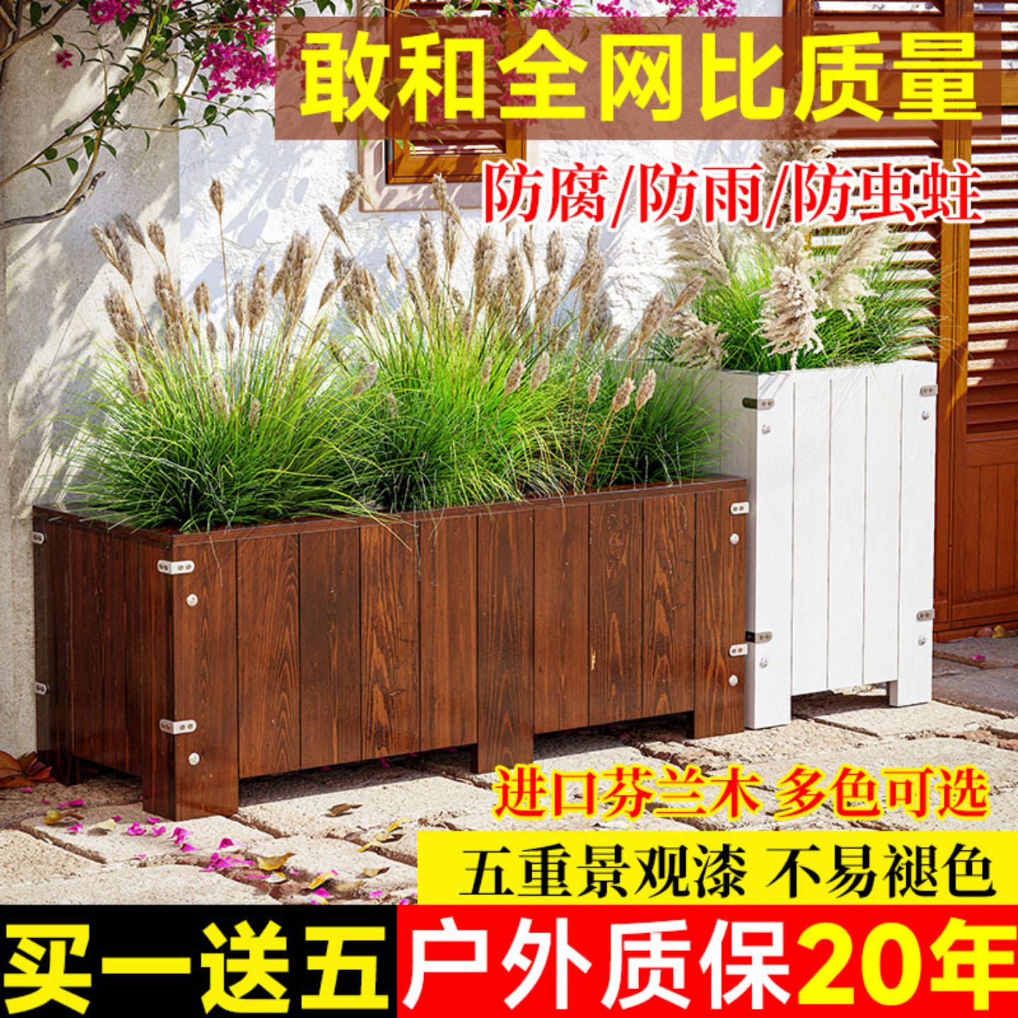 花园种植优惠福利大放送图片