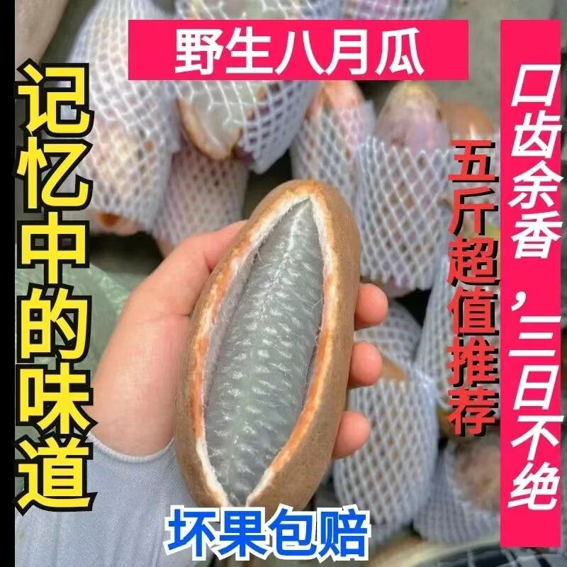 贵州高山八月瓜八月炸木通果天然水果药食同源童年记忆