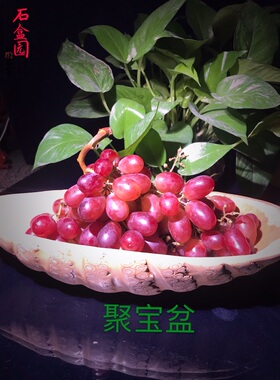 天然兰竹果盘聚财旺运招宝镇宅大气上档次茶几台面餐厅装饰摆设