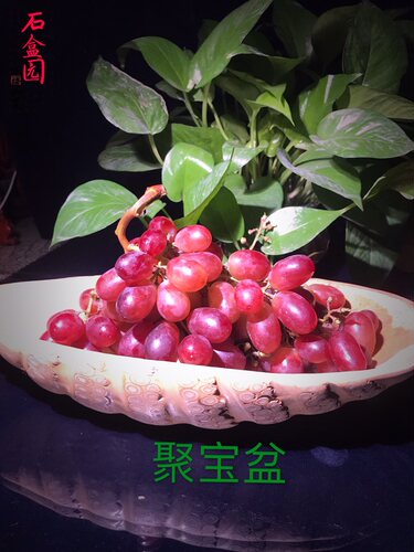 天然兰竹果盘聚财旺运招宝镇宅大气上档次茶几台面餐厅装饰摆设