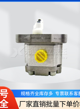 法国HPI齿轮泵P1BAN1005FL10B01N C5080594原装进口