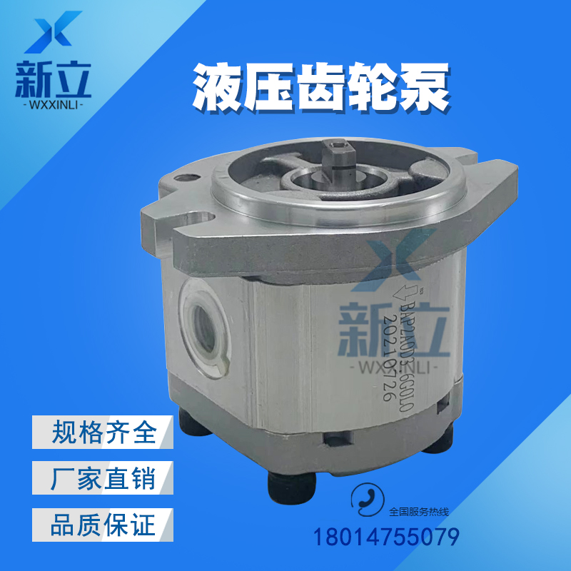 齿轮泵 BAP2A0D3/3.6/4/6/8/10/12/14/16/18/20/22/25/28/30 G0L0
