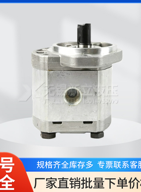 意大利CASAPPA齿轮泵PLP20.11.2D0-31S1-LOC/OC-N-EL