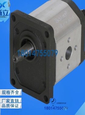 Boden齿轮泵BHP2.5A1D40C1F1/BHP2.5A1D45C1F1/BHP2.5A1D36C1F1