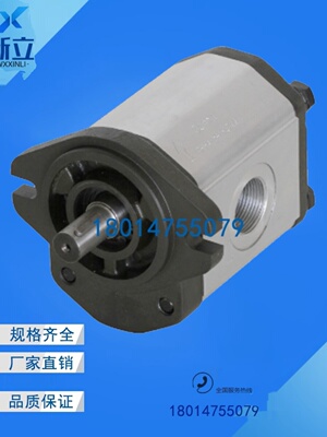 Boden齿轮泵BAP2B1D28C2E3