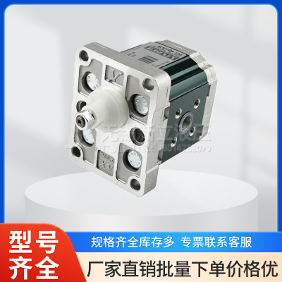 VIVOIL齿轮泵X1P1802FJJA原装