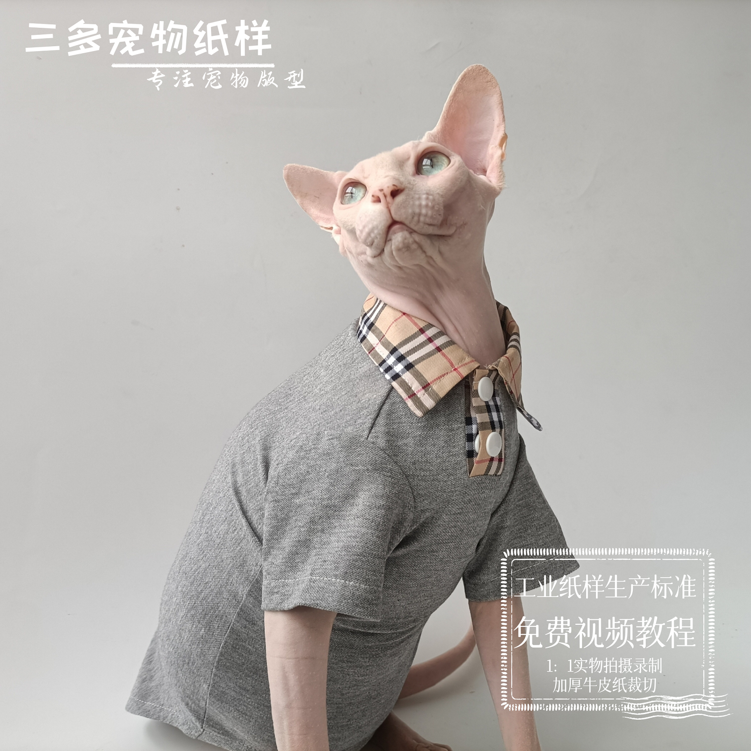 宠物猫咪POLO衫图纸T恤两脚衣服样版无毛猫德文猫衣服模板纸板