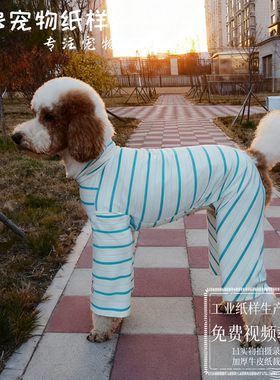 大型犬巨贵大长腿纸样