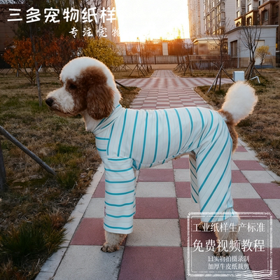 大型犬巨贵大长腿纸样