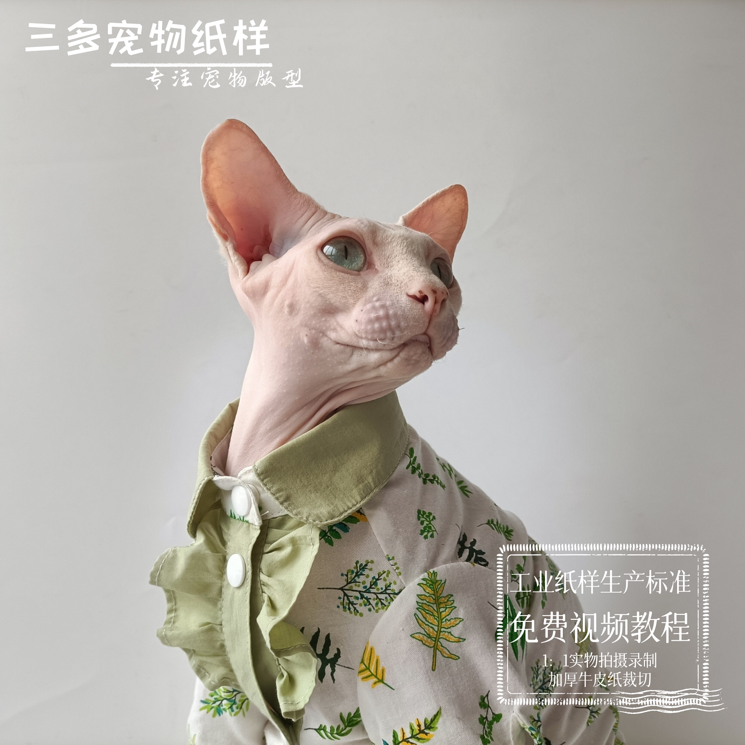 宠物衣服纸样猫咪德文猫蓝猫衬衣衬衫裙模板花式裙子图纸有教程