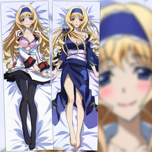 无限斯特拉托斯IS 塞西莉娅 英国动漫双面等身抱枕 靠枕2wt抱枕套