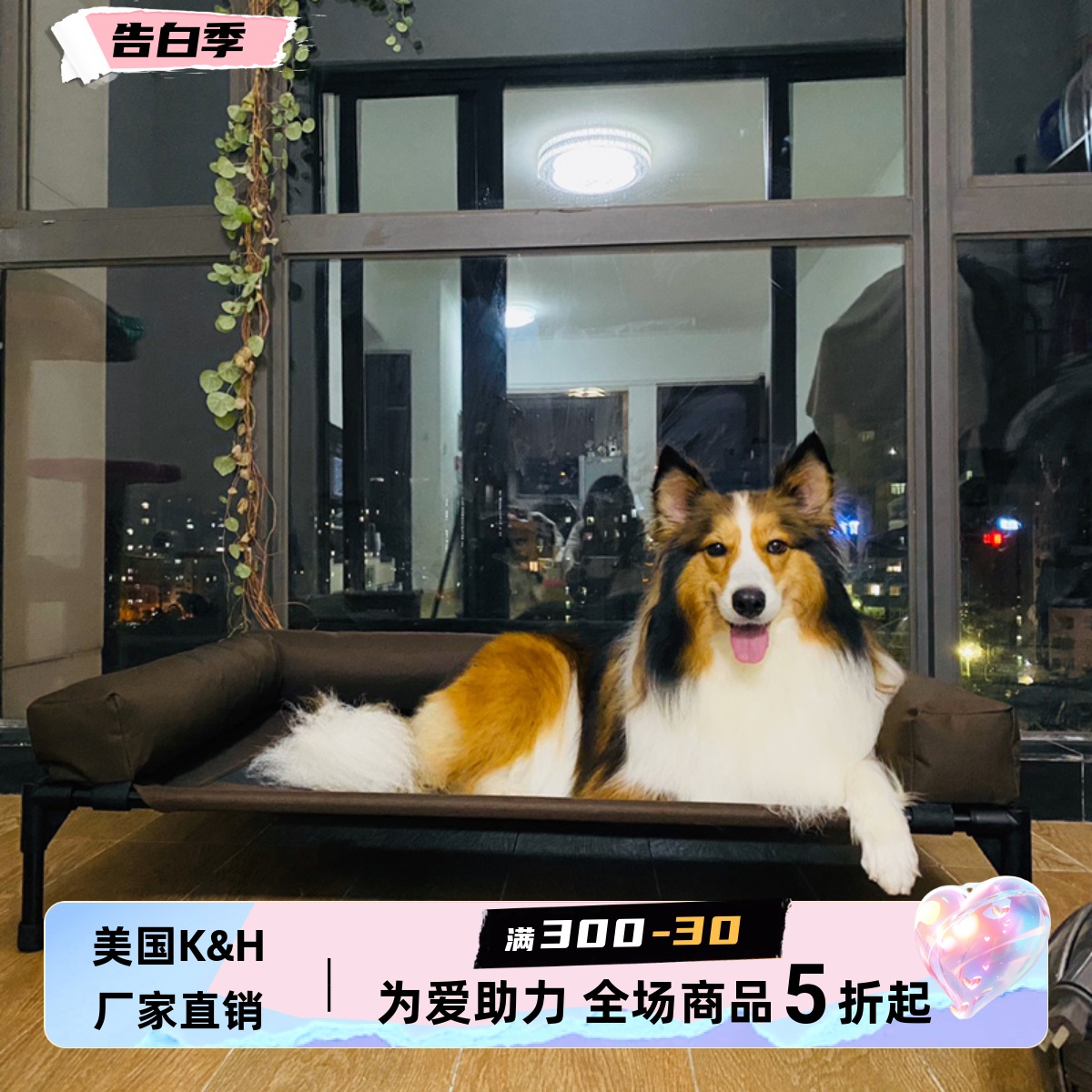 可拆洗围边大型犬铁艺离地狗窝