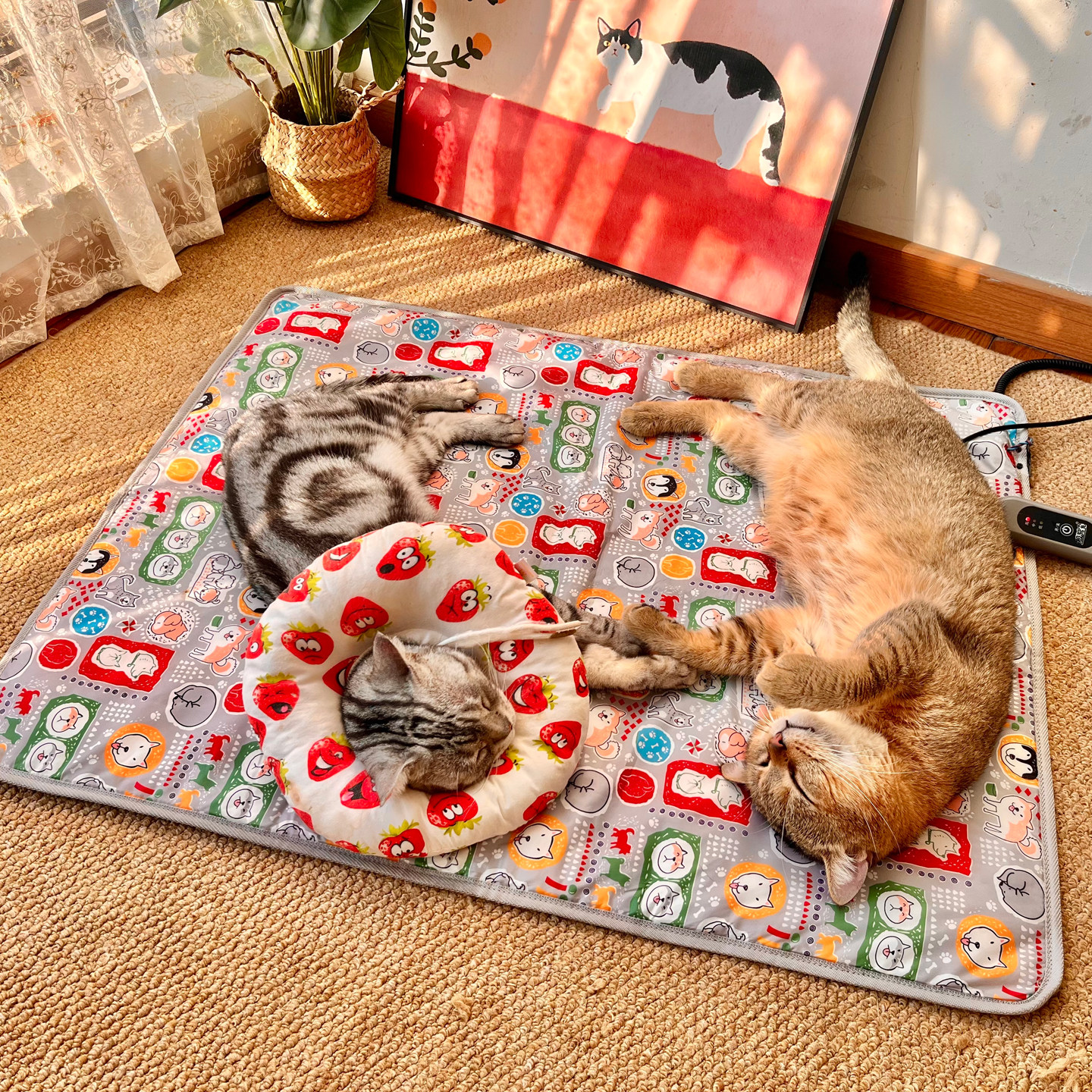 美国KH猫窝冬季保暖电热毯电加热发热冬天智能恒温幼猫咪温暖封闭,宠物/宠物食品及用品,宠物电热板/电热毯,淘宝优惠券,粉丝福利购,淘宝优惠卷