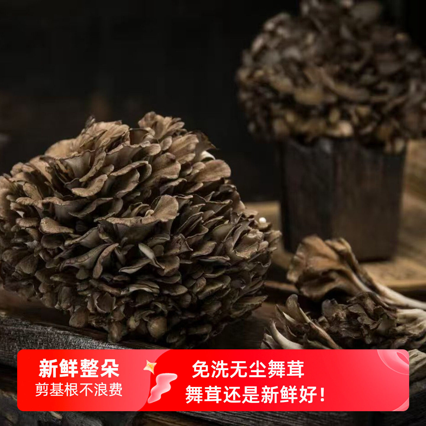 新鲜无尘舞茸 剪根基鲜灰树花灰菇火锅炒烧烤煲汤粟蘑舞绒菌