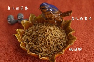 灭菌小蛆虫干鹩哥鸟食鸟粮伯劳画眉乌鸫八哥鸟饲料小鸟零食25克装