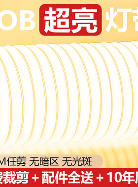 灯带led灯条cob灯带客厅吊顶超亮明装220v硅胶灯带户外防水软灯条
