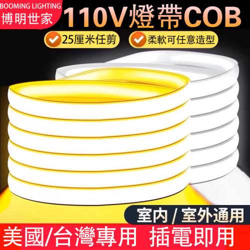 110v灯带cob台湾美国加拿大电压
