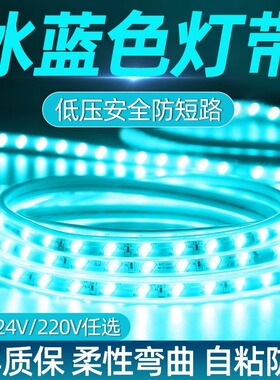 冰蓝色灯带led灯条自粘12V24V霓虹蓝色家用220V电竞氛围户外防水