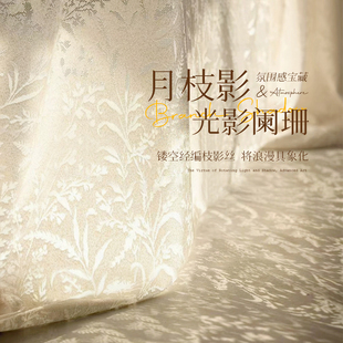 月枝影纱帘2025新款 法式 窗帘卧室高级感透光不透人客厅少女梦幻帘