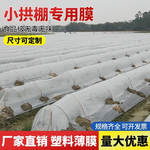透明小拱棚膜保温地膜防寒