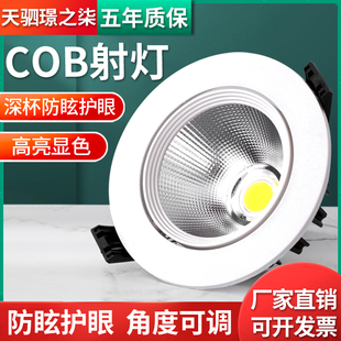 COB小射灯led天花灯牛眼灯嵌入式 3W5W7W20W30W店铺走廊过道灯筒灯