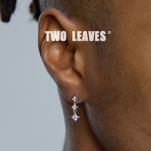 TWOLEAVESS925银四芒星流苏耳钉