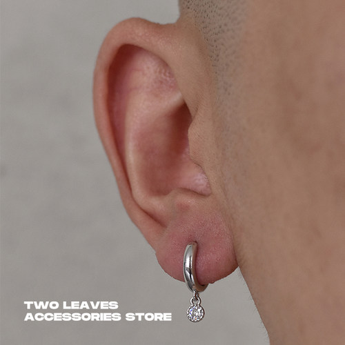 TWOLEAVESS925银白锆石挂坠耳环