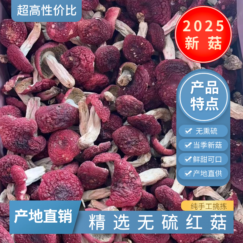 野生红菇干货500福建红蘑菇香菇红椎菌月子菇无硫特产滋补小红菇