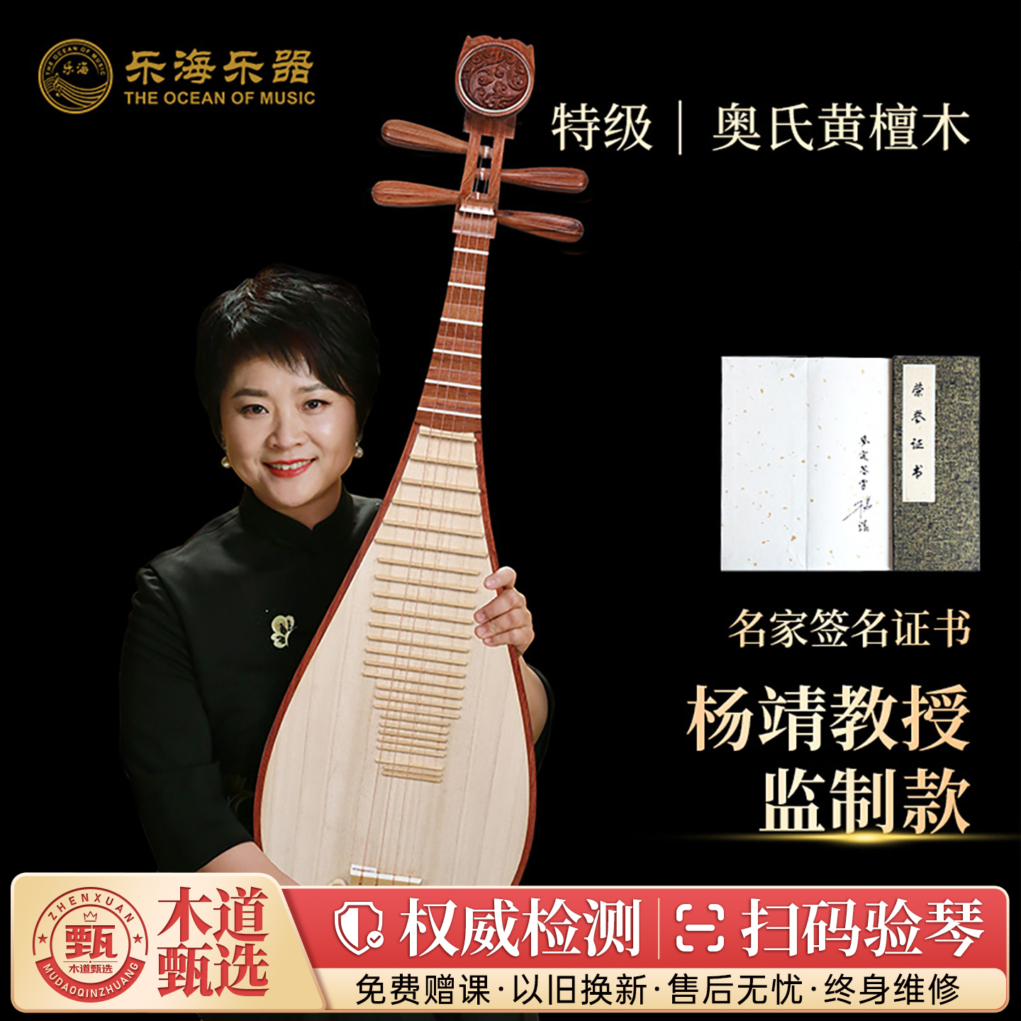 琵琶乐器乐海杨靖教授监制