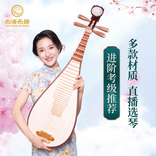 乐海专业考级琵琶乐器厂家直售