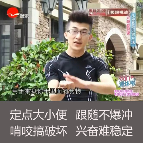 学校大小便上门寄养服务宠物狗狗