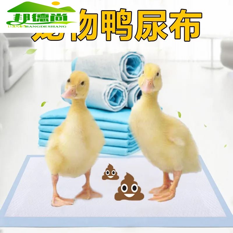 宠物小鸭子柯尔鸭尿垫尿不湿除臭吸水粪便屎尿布狗猫雏鸡鹅用品